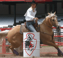 how much money do professional barrel racers make